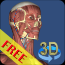 3D Bones and Organs