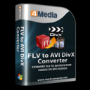 4Media FLV to AVI DivX Converter