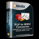 4Media FLV to WMV Converter