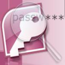 Access Top Password Recovery
