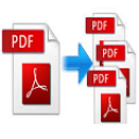 Adept PDF Split-Merge