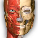 AnatomyLearning - 3D Atlas