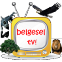 Belgesel TV