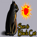 Black Cat's Money Organizer