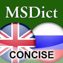 Dictionary English - Russian TR