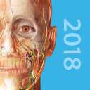 Human Anatomy Atlas 2018
