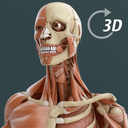 Visual Anatomy 3D Human