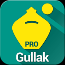 Gullak - Expense Manager Pro