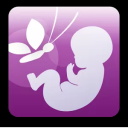 I?m Expecting - Pregnancy App