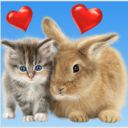 Kedi ve Tavşan