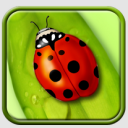 Ladybug Live Wallpaper
