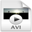 Leap AVI to MP4 FLV MPEG WMV MOV Converter