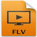 Leap AVI WMV DVD MPEG MP4 MOV to FLV Converter