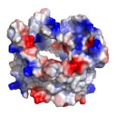 Melsis BiyoTürk Protein Decoder