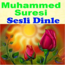 Muhammed Suresi Meal Tefsir