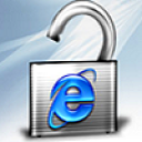 Nsauditor Internet Explorer Password Recovery Solution