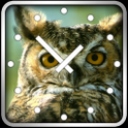 Owls Clock