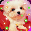 Puppy Songs live wallpaper