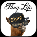 Thug Life Maker