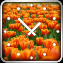Tulips Clock