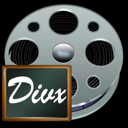 ZC DVD to DivX Converter