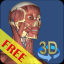 3D Bones and Organs indir