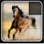 Aah Games Free Horse Puzzles indir