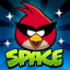 Angry Birds Space Premium indir