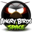 Angry Birds Space Türkçe Yama indir