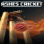 Ashes Cricket indir