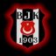 Beşiktaş Resimleri indir
