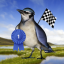 Bird Race - The remake! indir