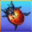 Bug Smasher FREE indir
