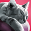 CatHotel - Play with Cute Cats indir