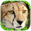 Cheetah Simulator indir