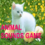 Children Animal Sounds Game indir
