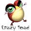Crazy Toad HD indir
