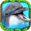 Dolphin Simulator indir