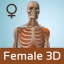 Female Anatomy 3D - Anatronica indir