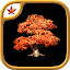 Fire Maple Games Collection indir