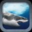 Great White SHARKS indir