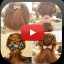 Hairstyle Tutorials (Video) indir
