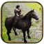 Jumping Horse Adventure - Pro indir