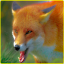 Kızgın Vahşi Fox Saldırı Sim indir