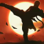 Kungfu Shadow Fighting indir