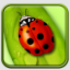 Ladybug Live Wallpaper indir