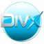 Leap DIVX to MP4 iPod iPhone Video Converter indir