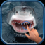 Magic Touch: Shark Attack indir