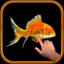 Magic Wave : Gold Fish indir