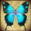 Monarch: The Butterfly King indir